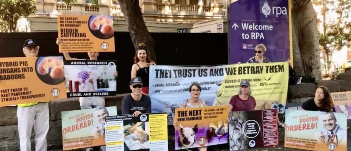 sydney-save-animals-in-laboratories