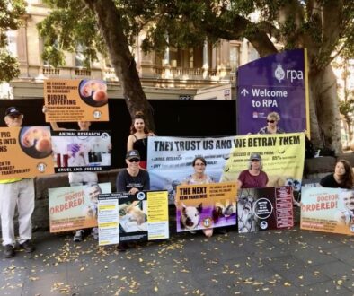 sydney-save-animals-in-laboratories