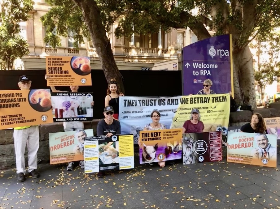 sydney-save-animals-in-laboratories