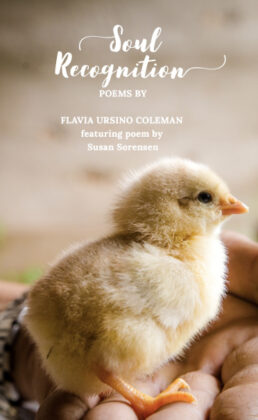 Soul Recognition (Poetry Book)